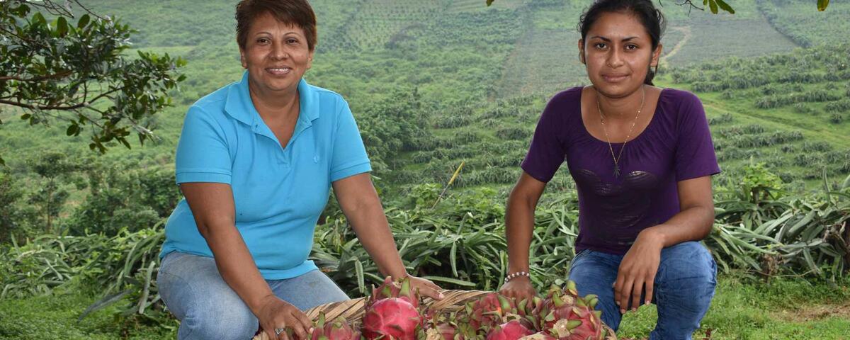 Article cover of 2 women in farm in color 